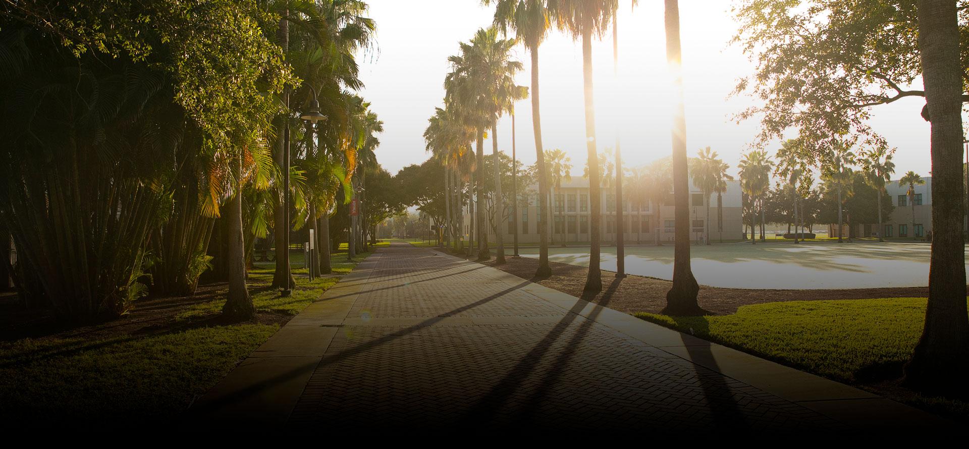 photo of campus with bright sun